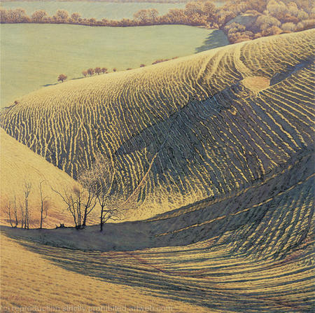 Hill Shadows