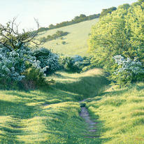 Spring Path