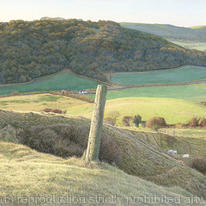 Hilltop Fencepost