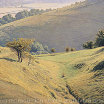 South Downs
