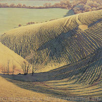 Hill Shadows