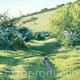 Spring Path
