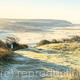 Autumn Frost