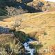 Mountain Spring