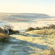 Autumn Frost