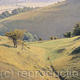 South Downs