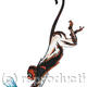 Absinthe Monkey