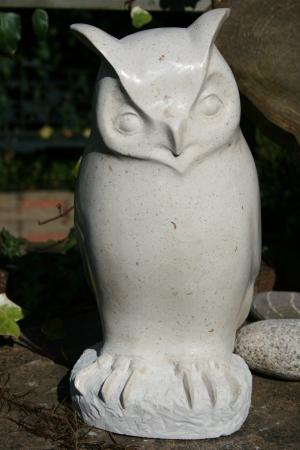 Owl (2008)