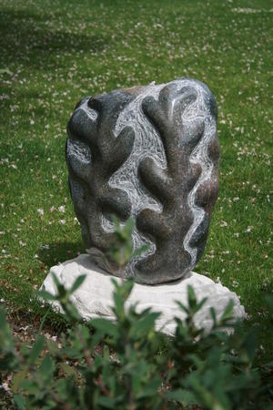 Biota II