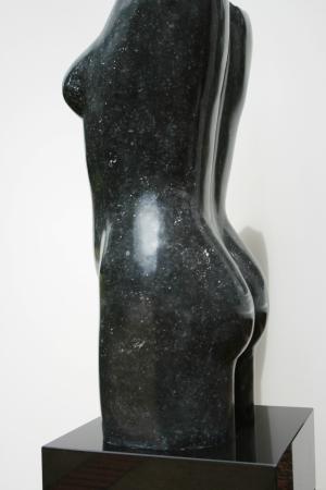 Black Torso (2008)