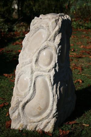 Biota III (2009)