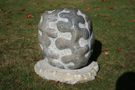 Biota I (2009)