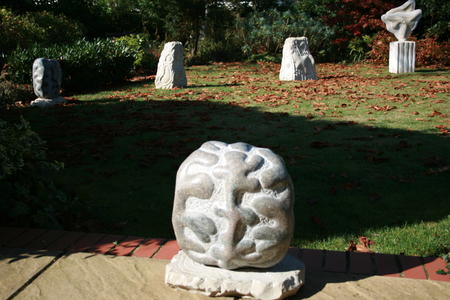 Biota I - V (2009)