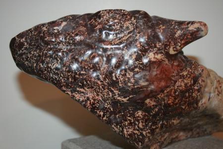 Lizard Head VII (2007)