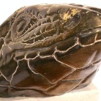 Lizard Head I (2007)