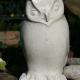 Owl (2008)
