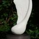 Winged seed (2009)