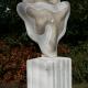 Biota V (2009)
