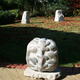 Biota I - V (2009)