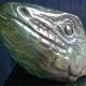 Lizard Head I (2007)