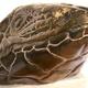 Lizard Head I (2007)