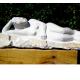 Reclining Woman (2006)