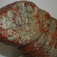 Lizard head III (2007)