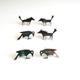 wolf and crow studs