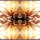 Face in Petals