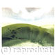 South Downs Study I