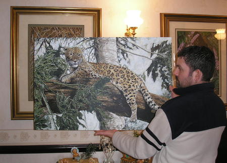 Displaying Belize Siesta