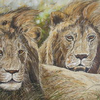 Windswept Hunters of Africa - Lions - Original Acrylic Painting