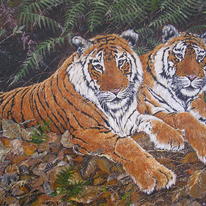 Twos Company - Tigers