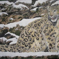 Jewel of the Mountains - Snow Leopard