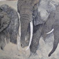 Tusks in the Dust - Stage 4 - Acrylic work ongoing....