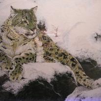 Mystic Vision - Snow Leopard