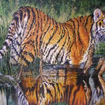 Reflections of Ranthambhore - Tiger in Water Original