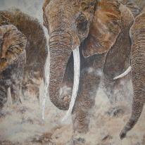 Tusks in the Dust - Completed