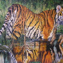 Reflections of Ranthambhore - Limited Edition Print