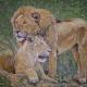 A Moment Together -…