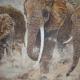 Tusks in the Dust -…