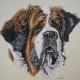 St Bernard
