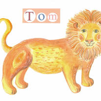 lion