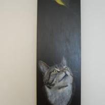 I ONLY WANT TO PLAY!!
