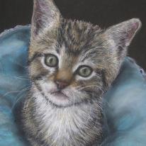 tiggie