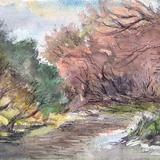 Brook In Summer Woodland Ontario - Watercolor / Mixed Media
