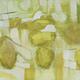 Pears in a Landscape