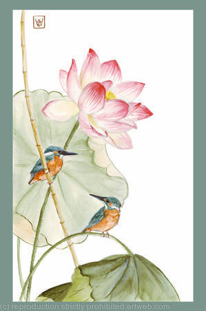 Lotus with kingfishers