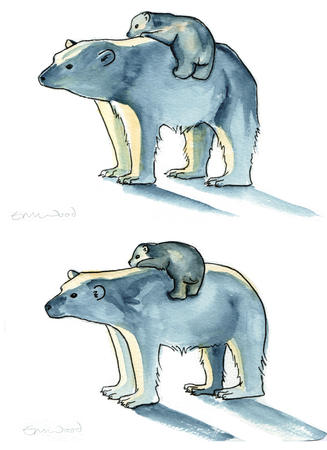 Polar bear - example of variations