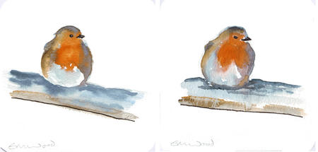 robin - example of variations